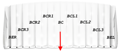 icarus_canopies_bottom_skin_cell_code.png